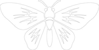 jumping bean moth  outline silhouette vector