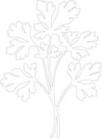 parsley outline silhouette vector