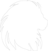 golden lion tamarin    outline silhouette vector