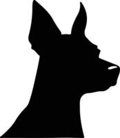 German Pinscher  silhouette portrait vector