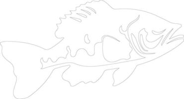 grouper  outline silhouette vector