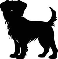 Brussels Griffon   black silhouette vector