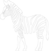 zebra  outline silhouette vector