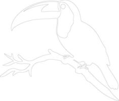 keel-billed toucan  outline silhouette vector