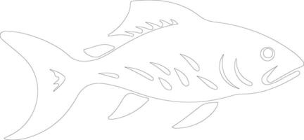 Dinichthys outline silhouette vector