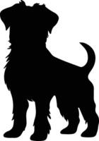 Brussels Griffon    black silhouette vector