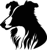 Collie  silhouette portrait vector