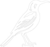 meadowlark  outline silhouette vector