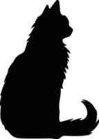 somalí gato negro silueta vector
