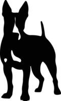 Bull Terrier    black silhouette vector