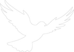 dove    outline silhouette vector