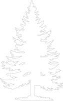 Evergreen  outline silhouette vector