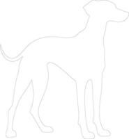 Sloughi outline silhouette vector
