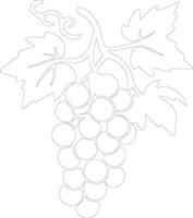 grape  outline silhouette vector