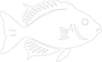 John Dory  outline silhouette vector