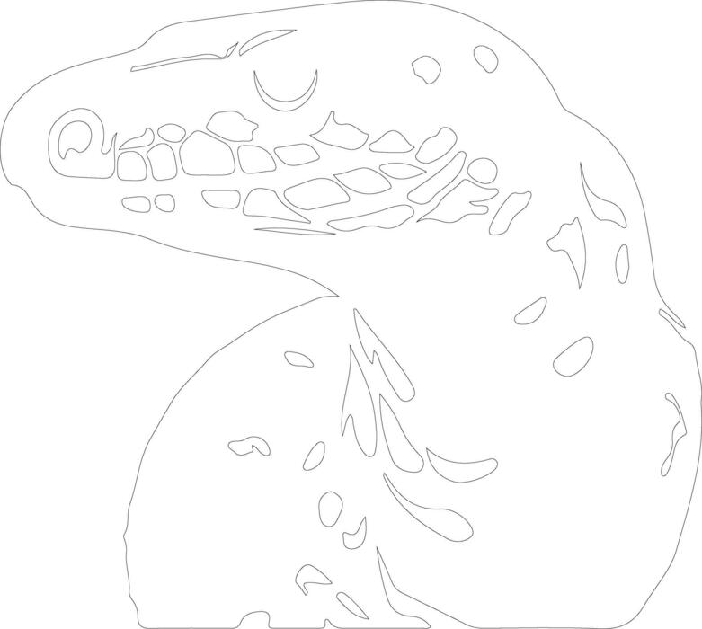 Bw Python Vector Art, Icons, and Graphics for Free Download