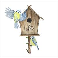 Birdhouse with tits, watercolor illustration vector