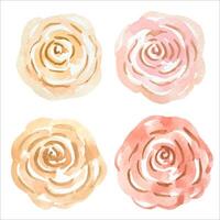 Hand drawn abstract watercolor flowers vector