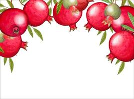 Hand drawn frame with ripe pomegranates vector