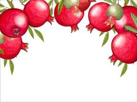 Hand drawn frame with ripe pomegranates vector