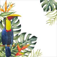 Hand drawn frame with toucan, tropical leaves, watercolor vector