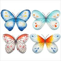 Set with abstract butterfly in blue, yellow, red tones, watercolor vector