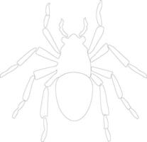 louse  outline silhouette vector