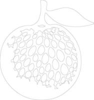 ugli Fruta contorno silueta vector