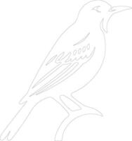 western meadowlark  outline silhouette vector