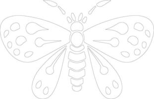 jumping bean moth  outline silhouette vector