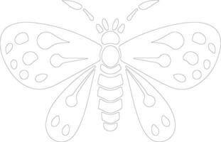 jumping bean moth  outline silhouette vector