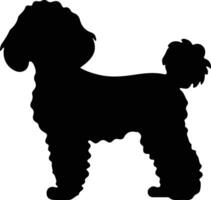 Poodle    black silhouette vector