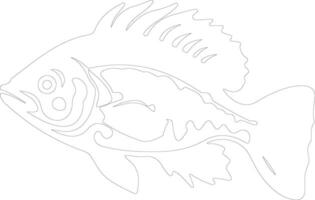 grouper  outline silhouette vector