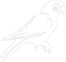 lorikeet  outline silhouette vector