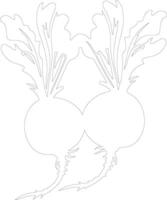 beets  outline silhouette vector