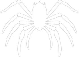 tarantula    outline silhouette vector