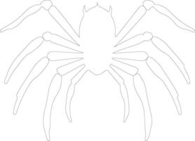 tarántula contorno silueta vector