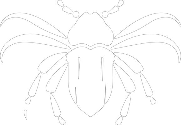 darklingbeetle outline silhouette
