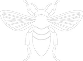 cicada outline silhouette vector