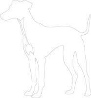 Whippet outline silhouette vector