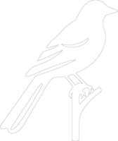 oriole  outline silhouette vector