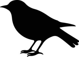 blackbird  silhouette portrait vector