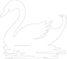 trumpeter swan    outline silhouette vector