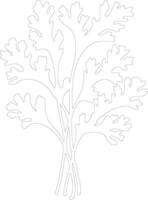 arugula  outline silhouette vector