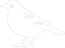 American Robin  outline silhouette vector