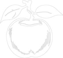 persimmon  outline silhouette vector