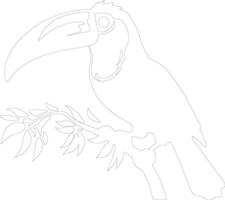 keel-billed toucan  outline silhouette vector