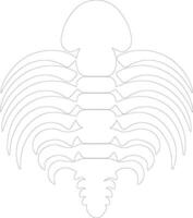 Trilobite   outline silhouette vector