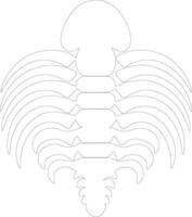 Trilobite   outline silhouette vector