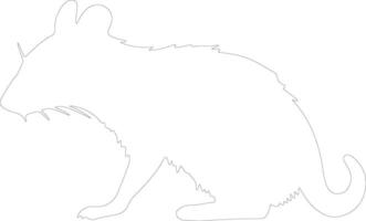 bandicoot outline silhouette vector